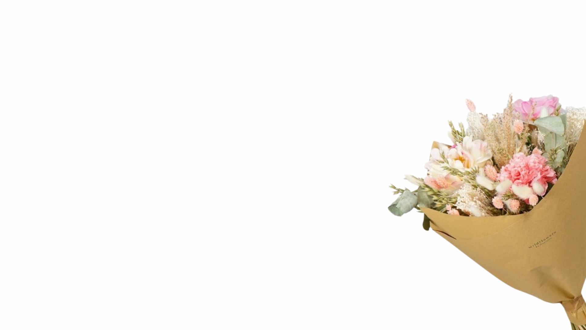 Image Slider